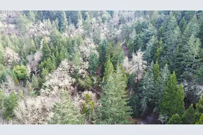 0 Lookingglass Rd, Roseburg, OR 97471 - Photo 30