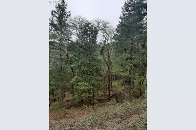 0 Lookingglass Rd, Roseburg, OR 97471 - Photo 10