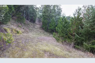 0 Lookingglass Rd, Roseburg, OR 97471 - Photo 20