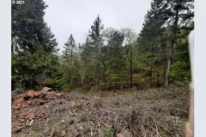 0 Lookingglass Rd, Roseburg, OR 97471 - Photo 8