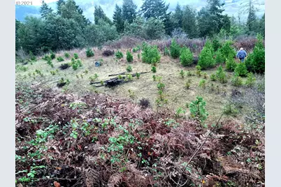 0 Lookingglass Rd, Roseburg, OR 97471 - Photo 6