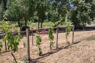 375 Porter Creek Rd, Winston, OR 97496 - Photo 34