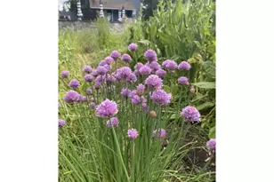 24305 NE Hwy 240, Newberg, OR 97132 - Photo 48