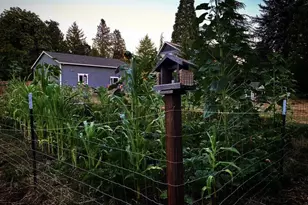 24305 NE Hwy 240, Newberg, OR 97132 - Photo 46