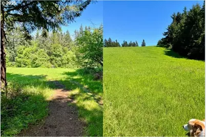 2678 Drift Creek Rd NE, Silverton, OR 97381 - Photo 10