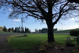 2678 Drift Creek Rd NE, Silverton, OR 97381 - Photo 26