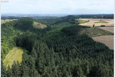 2678 Drift Creek Rd NE, Silverton, OR 97381 - Photo 6
