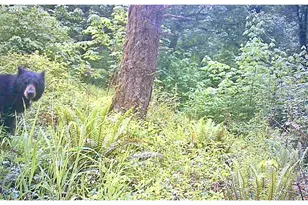 2678 Drift Creek Rd NE, Silverton, OR 97381 - Photo 32