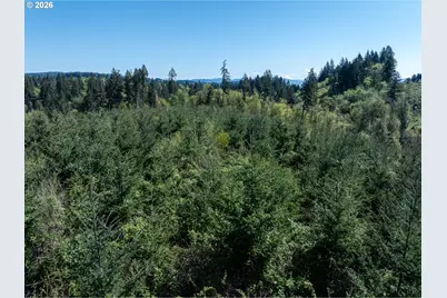 0 Whitney Rd, Rainier, OR 97048 - Photo 12