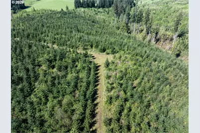 0 Whitney Rd, Rainier, OR 97048 - Photo 20