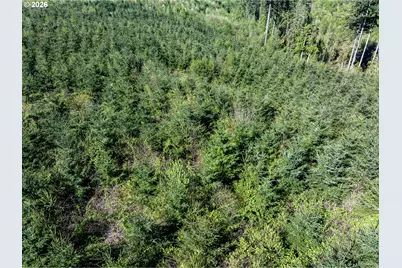 0 Whitney Rd, Rainier, OR 97048 - Photo 14