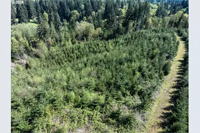 0 Whitney Rd, Rainier, OR 97048 - Photo 16