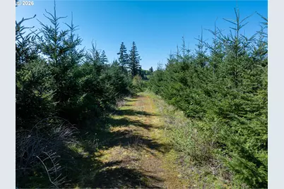 0 Whitney Rd, Rainier, OR 97048 - Photo 8