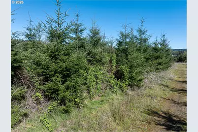 0 Whitney Rd, Rainier, OR 97048 - Photo 10