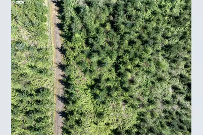 0 Whitney Rd, Rainier, OR 97048 - Photo 22