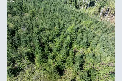 0 Whitney Rd, Rainier, OR 97048 - Photo 24