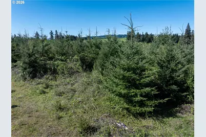 0 Whitney Rd, Rainier, OR 97048 - Photo 28