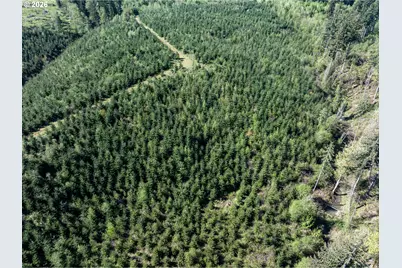 0 Whitney Rd, Rainier, OR 97048 - Photo 18