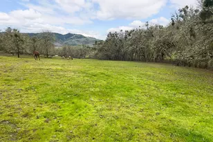 629 Buell Ln, Roseburg, OR 97471 - Photo 44