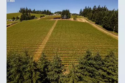 20600 NE Overlook Dr, Dundee, OR 97115 - Photo 40
