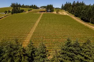 20600 NE Overlook Dr, Dundee, OR 97115 - Photo 40