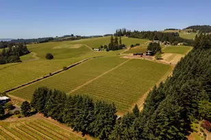 20600 NE Overlook Dr, Dundee, OR 97115 - Photo 36