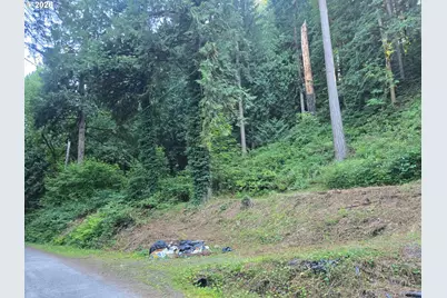 21970 S River Lake Rd, Estacada, OR 97023 - Photo 8