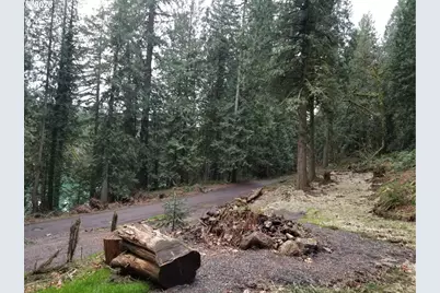 21970 S River Lake Rd, Estacada, OR 97023 - Photo 6