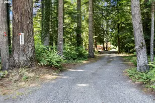 53395 E Sylvan Dr, Sandy, OR 97055 - Photo 48
