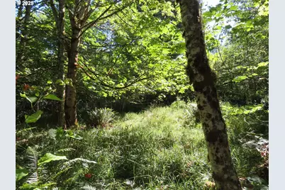 Salmon Creek Rd, Mossyrock, WA 98564 - Photo 4