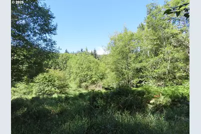 Salmon Creek Rd, Mossyrock, WA 98564 - Photo 2