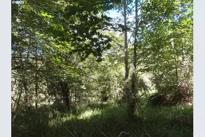 Salmon Creek Rd, Mossyrock, WA 98564 - Photo 12