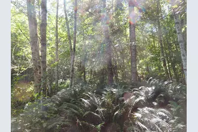 Salmon Creek Rd, Mossyrock, WA 98564 - Photo 18