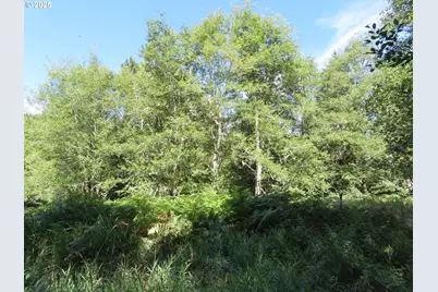 Salmon Creek Rd, Mossyrock, WA 98564 - Photo 14