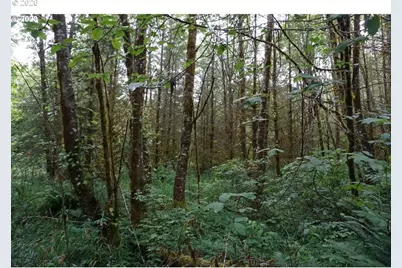0 NE Buncombe Hollow Rd, Woodland, WA 98674 - Photo 2