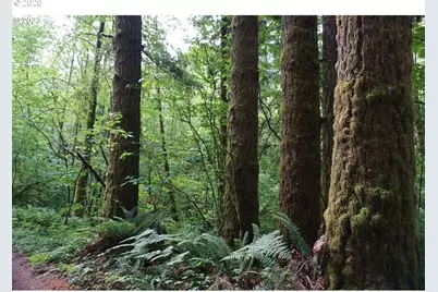 0 NE Buncombe Hollow Rd, Woodland, WA 98674 - Photo 4