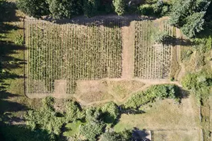 11700 NE 279th St, Battle Ground, WA 98604 - Photo 36