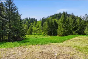66801 Bishop Creek Rd, Deer Island, OR 97054 - Photo 26