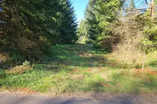 45400 NE Pup Creek Rd, Woodland, WA 98674 - Photo 46