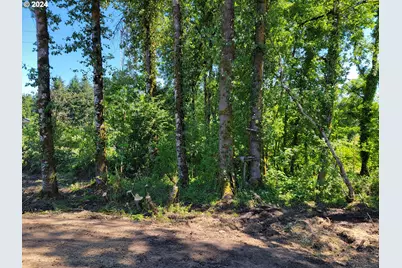 0 Adjacent Oak Grove Dr NW, Albany, OR 97321 - Photo 4