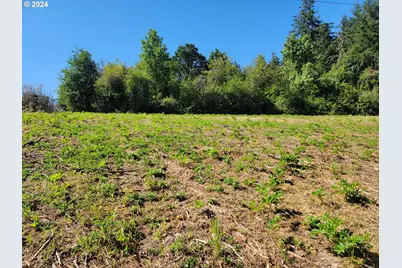 0 Adjacent Oak Grove Dr NW, Albany, OR 97321 - Photo 24
