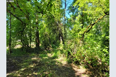 0 Adjacent Oak Grove Dr NW, Albany, OR 97321 - Photo 16