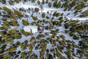 77667 Jack Pine Ln, Weston, OR 97886 - Photo 8