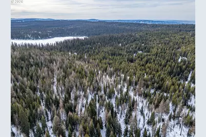 77667 Jack Pine Ln, Weston, OR 97886 - Photo 6