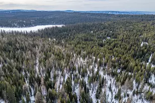 77667 Jack Pine Ln, Weston, OR 97886 - Photo 6