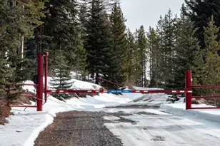 77667 Jack Pine Ln, Weston, OR 97886 - Photo 10