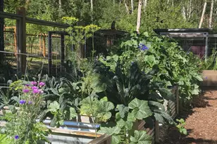 26810 NE 77th St, Vancouver, WA 98682 - Photo 46