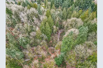 0 Parcel 00485905, Oregon City, OR 97045 - Photo 14