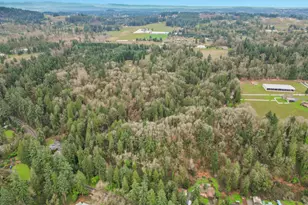 0 Parcel 00485905, Oregon City, OR 97045 - Photo 1