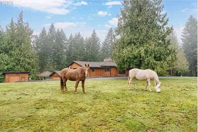 51720 NW Hayward Rd, Manning, OR 97125 - Photo 2